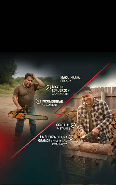 Imagen del carrusel