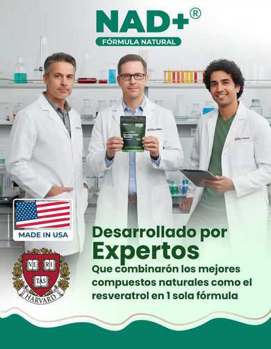 Imagen del carrusel