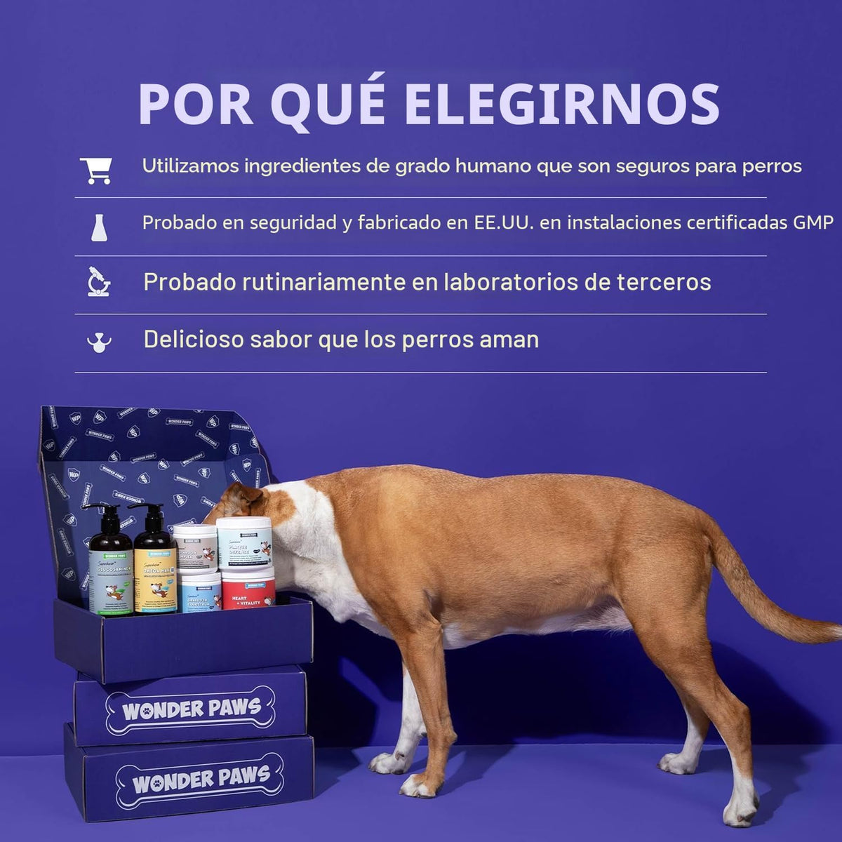 HONGO COLA DE PAVO [PV1-WHATSAPP-TRENDSHOP]