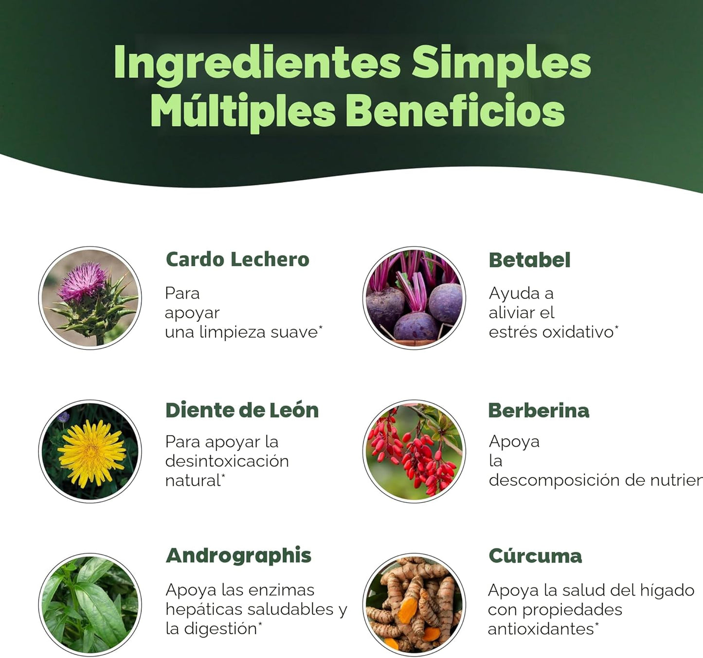 LIVER DETOX [PV1-WHATSAPP-TRENDSHOP]