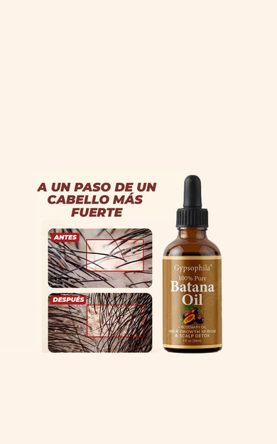 Imagen del carrusel