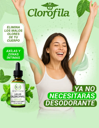 Imagen del carrusel