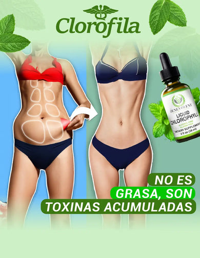 Imagen del carrusel