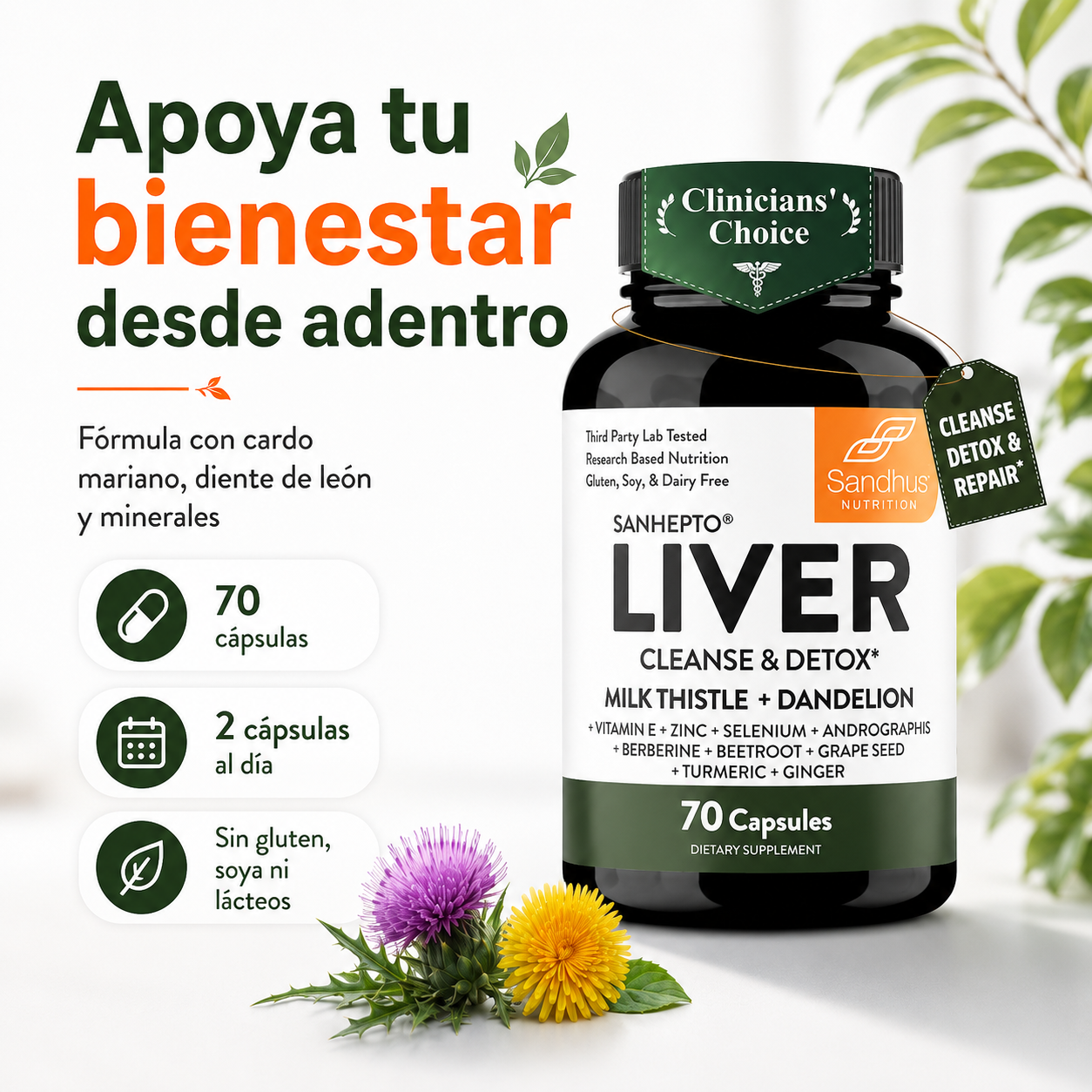LIVER DETOX [PV1-WHATSAPP-TRENDSHOP]