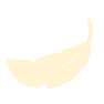 LIGERA Y