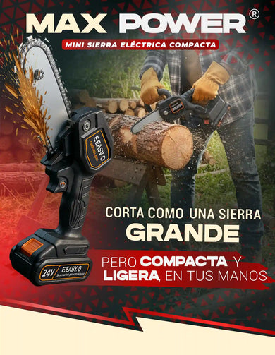Imagen del carrusel