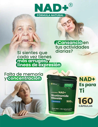 Imagen del carrusel