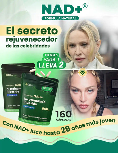 Imagen del carrusel