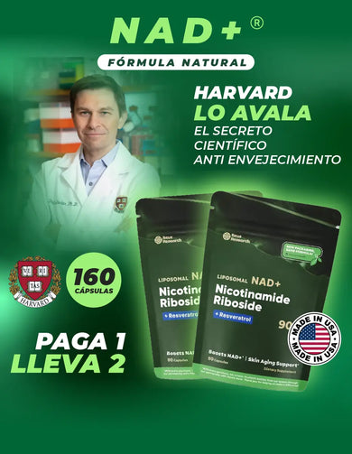 Imagen del carrusel