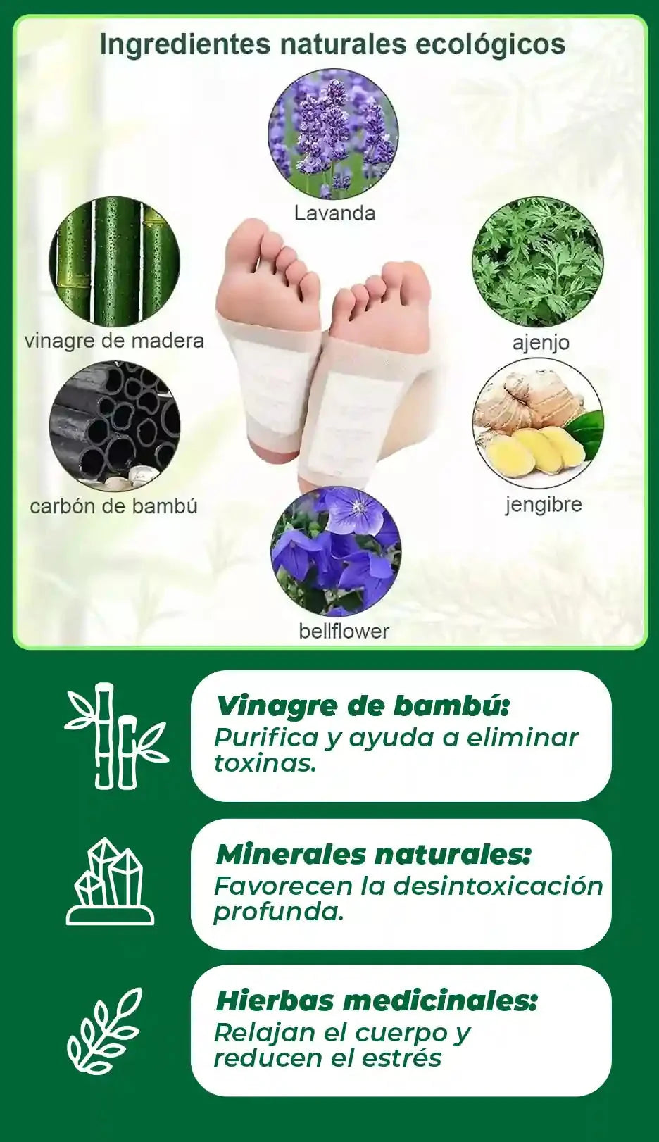 PARCHES DE PIES DESINTOXICANTES [PV1-WHATSAPP-TRENDSHOP]