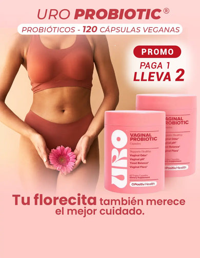 Imagen del carrusel