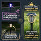 carrousel-de-imagenes__slide_2_image_ba8d91.webp
