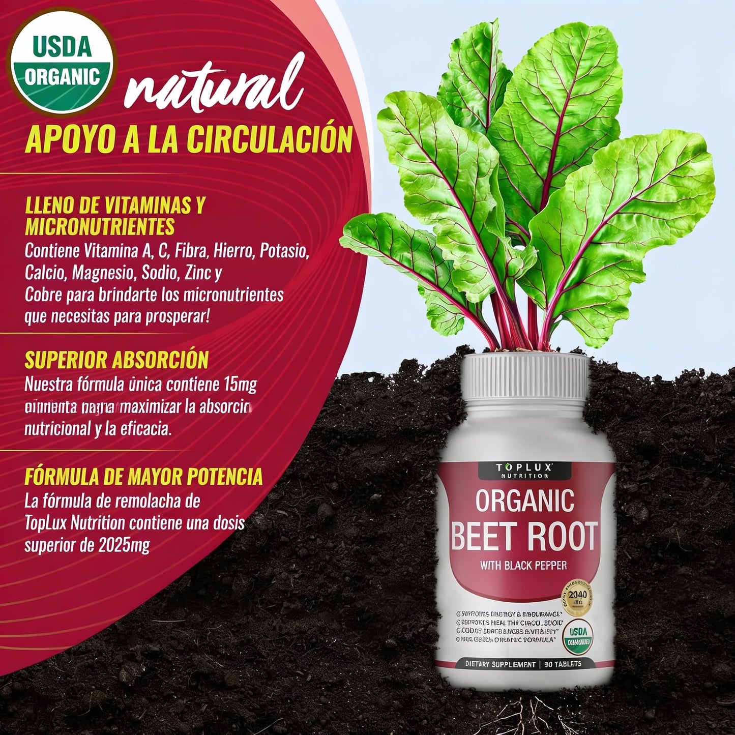 BEET ROOT [PV1-WHATSAPP-TRENDSHOP]