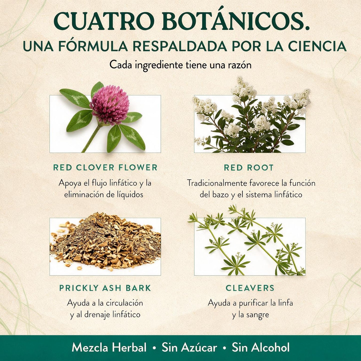 DETOX LINFATICO [PV1-WHATSAPP-TRENDSHOP]