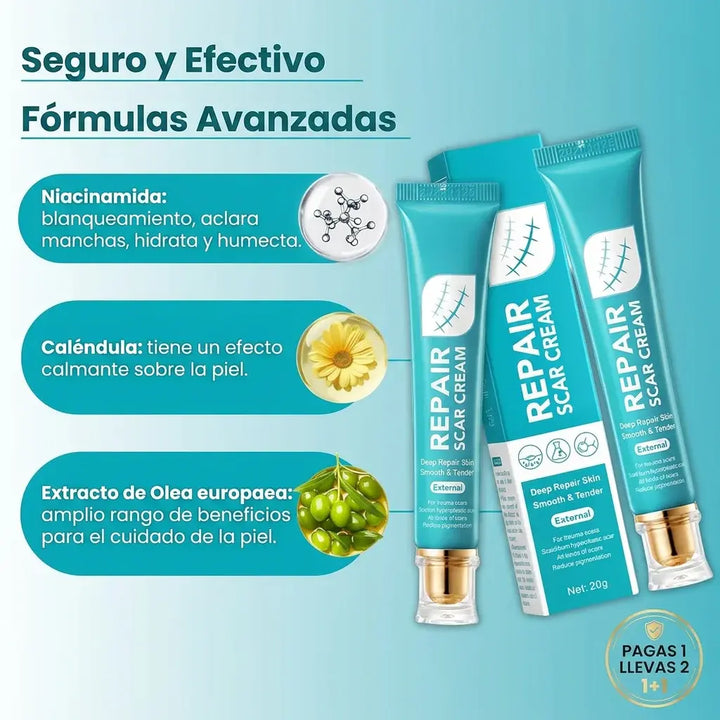 product_features_showcasev4_miaVDJ__feature_image_ff36d8.webp